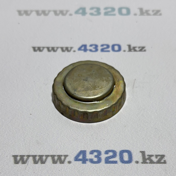 Крышка маслозаливного патрубка в сборе