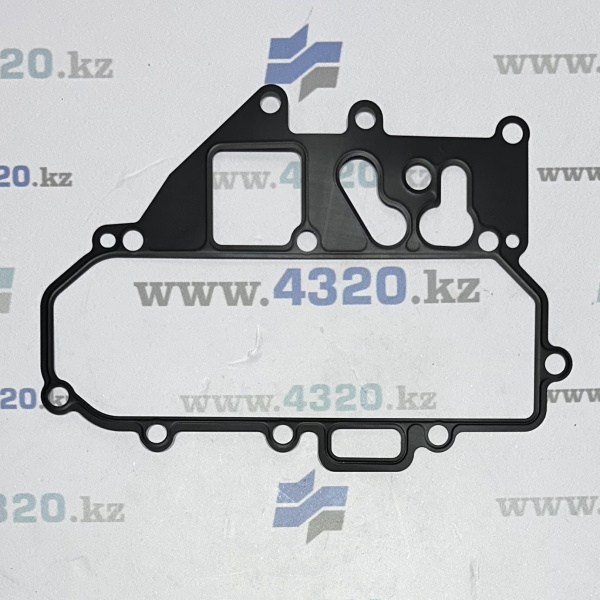 Прокладка сервисного модуля